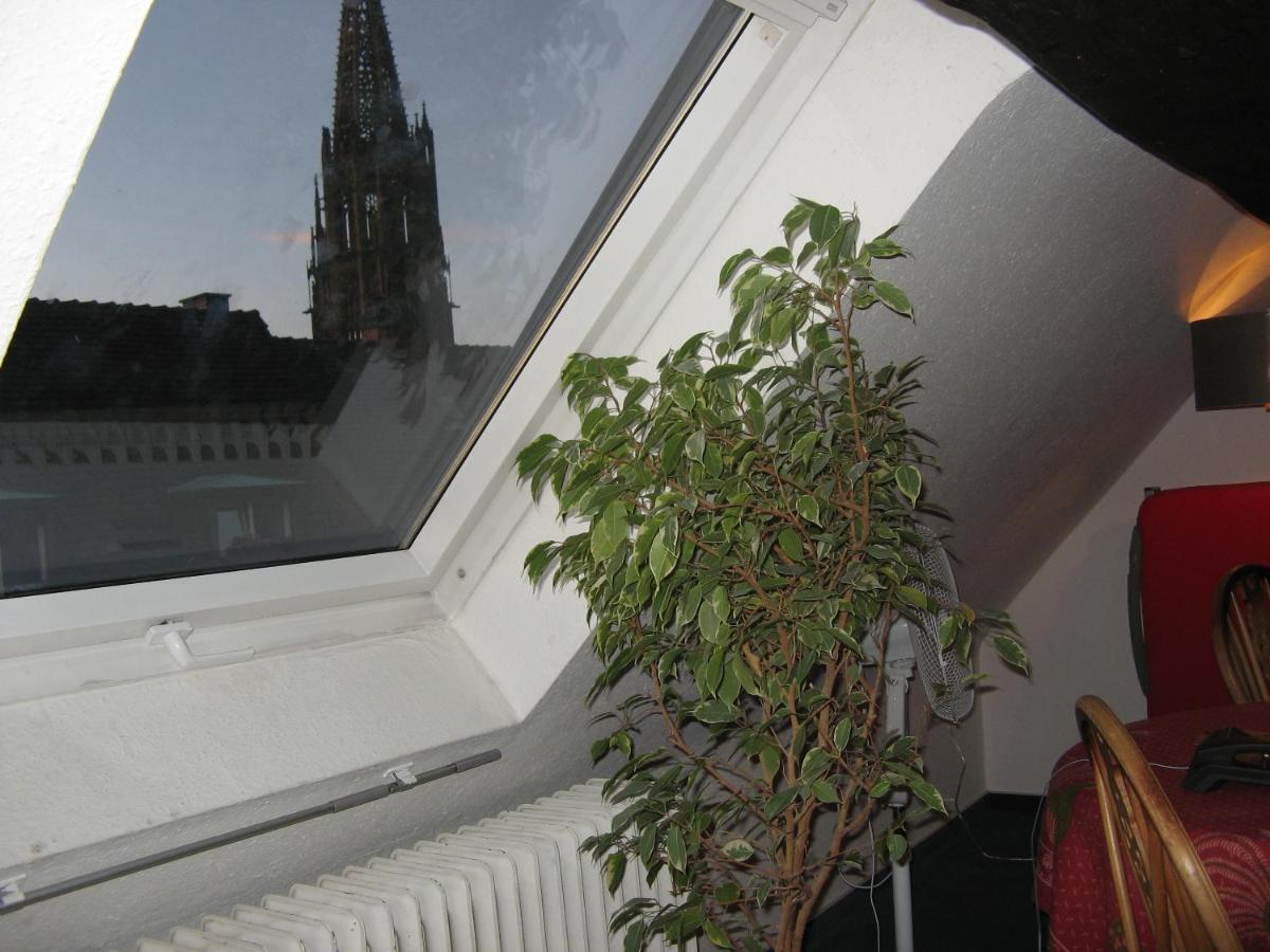 Gasthaus Loewen Freiburg im Breisgau Luaran gambar